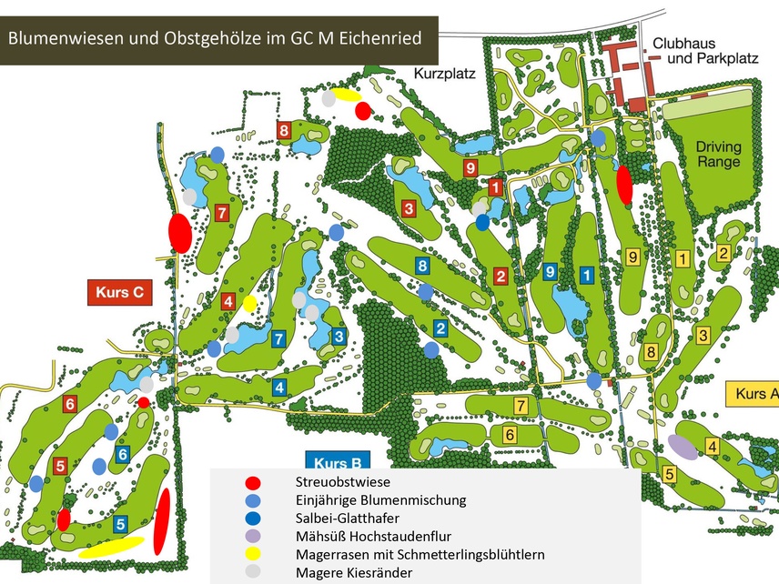 Blumenwiesen und Obstgehölze im GC München Eichenried