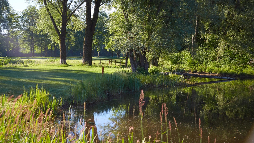 Teich mit Bepflanzung