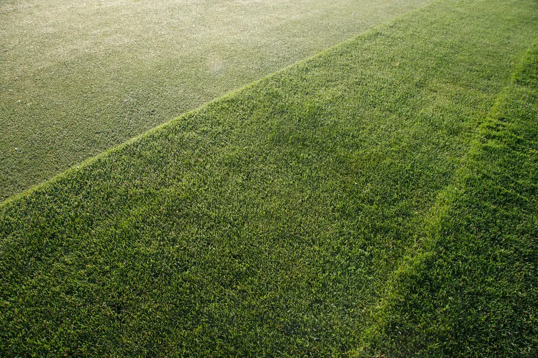 Übergang Green zu Fairway