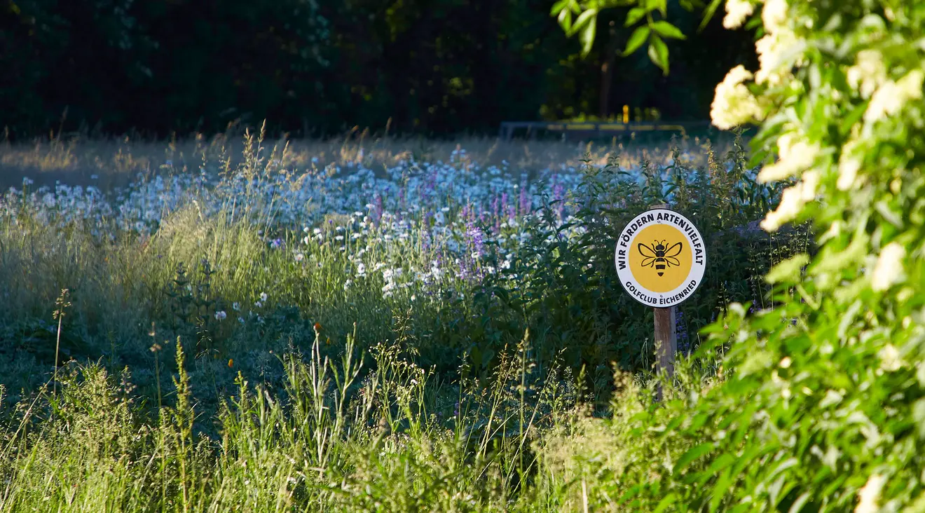 Süddeutsche Bienenwoche 16. – 22. Mai 2022
