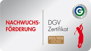 Grafik Zertifikat