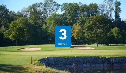 B3