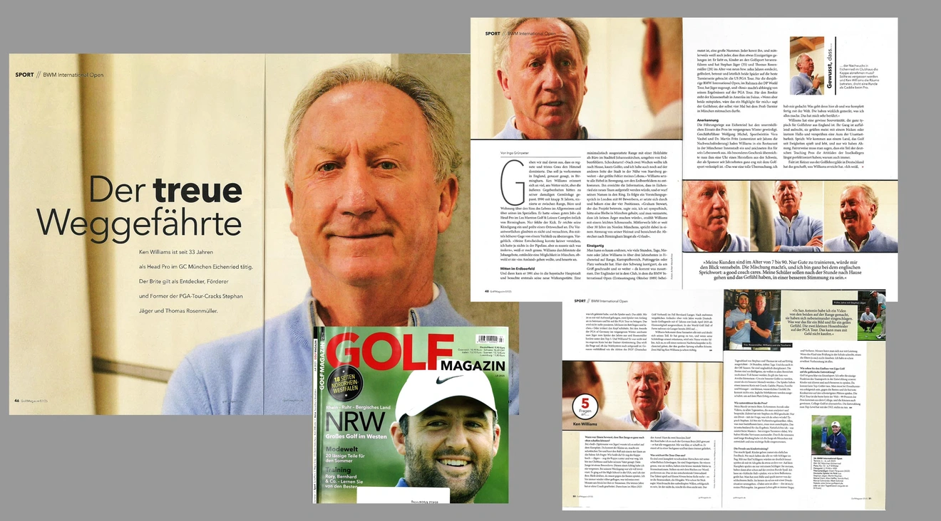 Collage aus Artikel-PDF