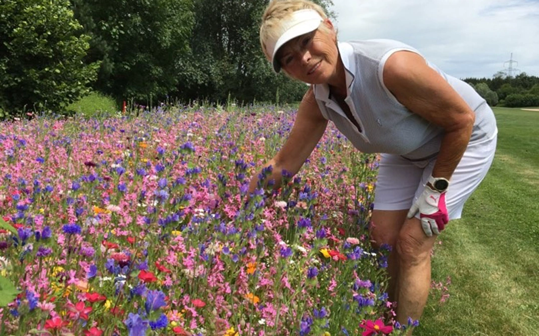Modisch bunt präsentieren sich auch die Eichenrieder Blumenwiesen – zur Freude der Damen und der Insekten!