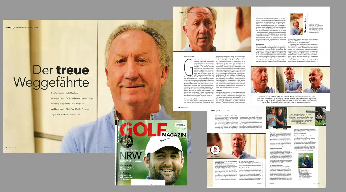 Collage aus Artikel-PDF