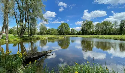 See mit Bäumen