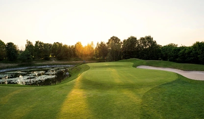 Logo Green in der Abenddämmerung