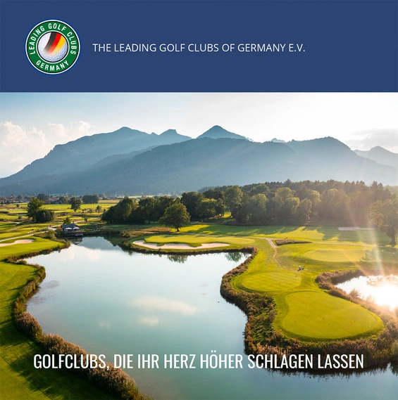 Grafik vom Cover Leading-eAlmanach