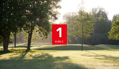 C1