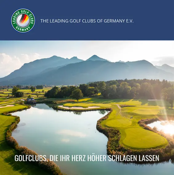 Grafik vom Cover Leading-eAlmanach